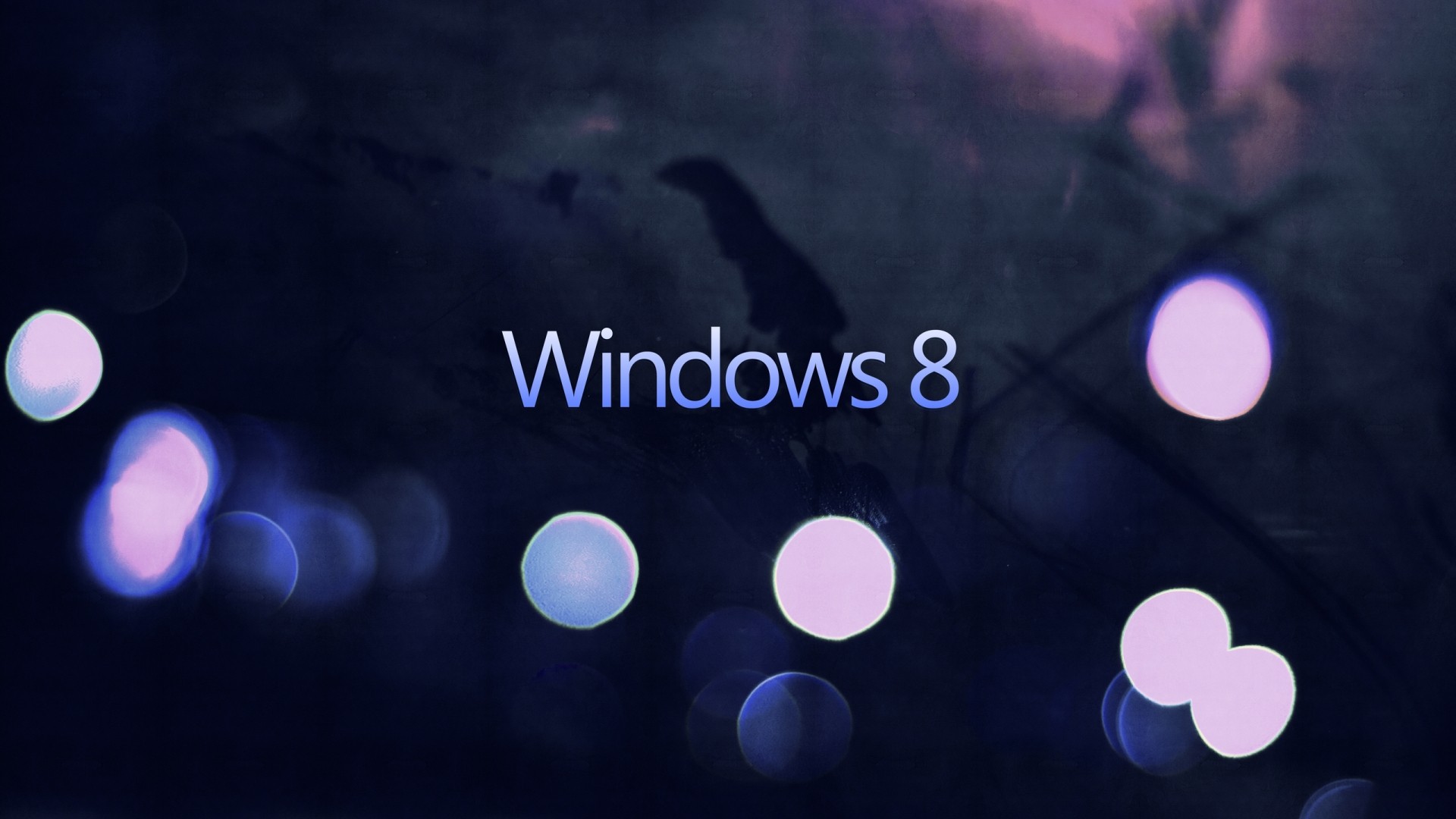 WINDOWS 8 BG02